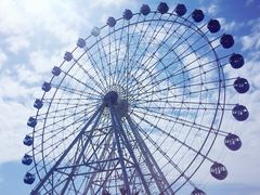 -秦皇岛乐岛海洋王国