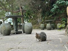 -江心屿景区