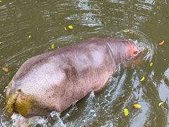 -泉州海丝野生动物世界
