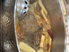 -乳仔牛牦牛汤锅 烤羊排(松潘古城店)