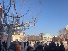 -青岛方特梦幻王国