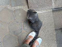 -玉泉观