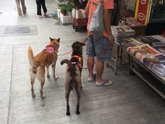 iphone_upload_pic-南丫岛