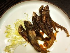 -骏莱海鲜鱼港(五角场店)