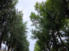 -哈尔滨文化公园