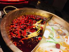 -小龙坎火锅(东汇城店)