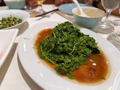 -梅龙镇酒家(南京西路总店)