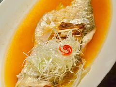 -甄御•海鲜新青岛菜(麦岛店)