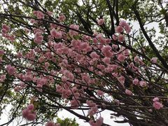 -观澜湖生态运动公社