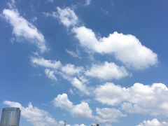-仁信老铺(嘉信店)