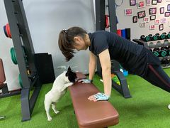 -征成健身连锁私教工作室(九公里店)