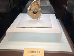 -辽宁省博物馆