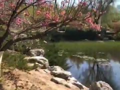 -滨河世纪广场公园