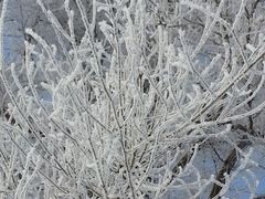 android_upload_pic-雾凇岛