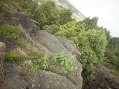-寻龙山风景旅游区