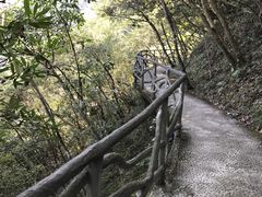 -龙湾潭国家森林公园