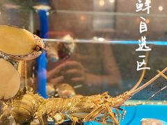 -Mr·Fish鱼鲜生海鲜放题(银泰in99店)