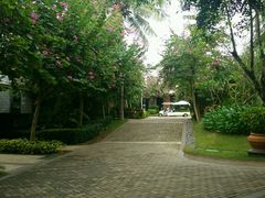 -三亚珠江南田温泉度假区