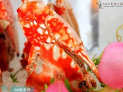 -上海和平饭店-华懋阁 The Cathay Room