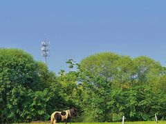 -WE ME 伴山营地·城市露营·团建策划