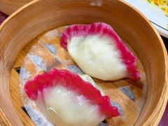 小鸡松茸香菇蒸饺-老边饺子馆(中街店)