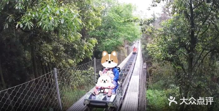 中国大熊猫保护研究中心雅安碧峰峡基地图片