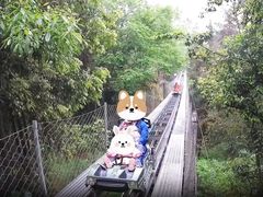 -中国大熊猫保护研究中心雅安碧峰峡基地
