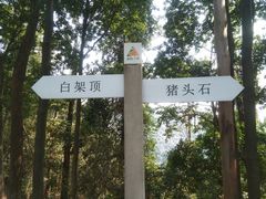 -火炉山森林公园