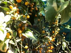 -豆舞咖啡(民乐路店)