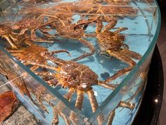 -渔傅·霞浦滩涂海鲜(建平店)