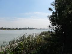 -绿堤公园