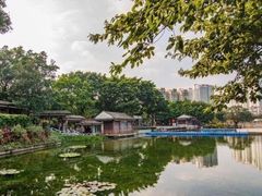 -荔湾湖公园