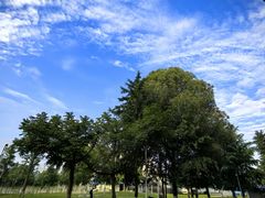 -四川大学(望江校区)