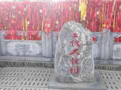 -大槐树寻根祭祖园