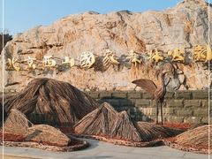 -北京西山国家森林公园