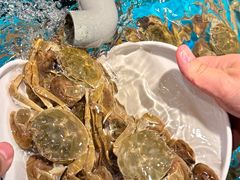 -苏格里岛自助烤肉海鲜火锅(成都金牛万达店)
