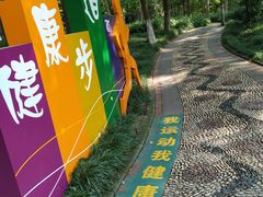 -重庆彩云湖湿地公园