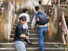 -海南热带雨林国家公园吊罗山景区