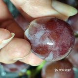 枝头挂满葡萄