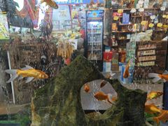 -食德喜·阳山鸡王食研基地