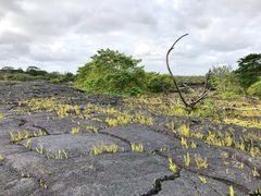 -夏威夷火山国家公园