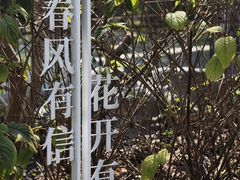 -云溪植物园