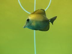 -海合安武汉极地海洋公园
