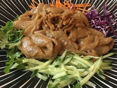 东北拉皮-普天和酒楼·新津菜·烤鸭(天津之眼店)