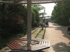 -新江湾城公园