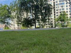 -大渡口区义渡公园