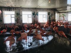 -哈尔滨北方森林动物园