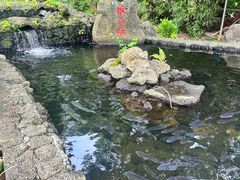 -海口火山口国家地质公园