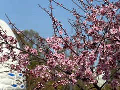 -宁波儿童公园(鄞州区)