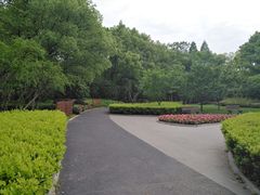 -徐家汇源景区-衡山公园